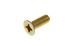 Screw - SF106161 - Genuine MG Rover