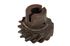 Gear - Oil Pump Drive - 104860