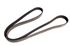 Polyvee Drive Belt - PQS100851P1 - OEM
