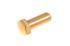Cap Nut - Alternative Polished Brass Finish - AUC1867B