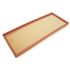 Air Filter - C2S51377P1 - OEM