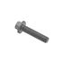 FS108357A - SCREW