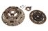 Clutch Kit 7 1/4" 10 spline - GCK260P