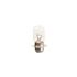 Bulb (414) 12V 50/40W Halogen BPF P36d - GLB414LC - Lucas Classic