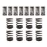Valve Spring Set Of 16 - RF4020
