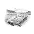 Jaguar E Type Mk3 Roadster V12 Personalised Portrait in Black & White