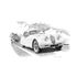 Jaguar XK120 FHC Rear Spats 1951-1954 Personalised Portrait in Black & White - RJ1081BW