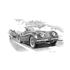 Jaguar XK120 Roadster 1948-1954 (dark shading) Personalised Portrait in Black & White - RJ1082BW