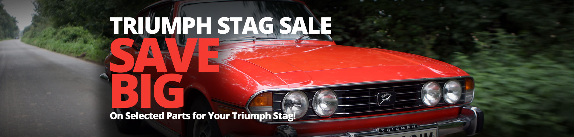 Triumph Stag Sale