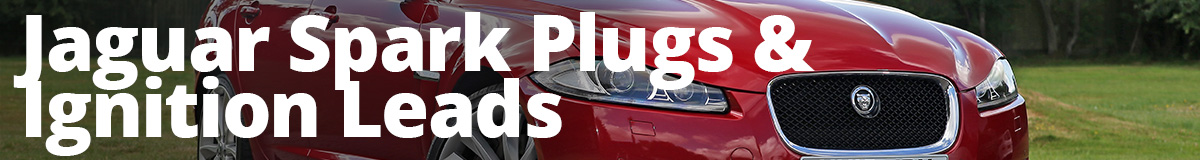 Jaguar Plugs & Leads