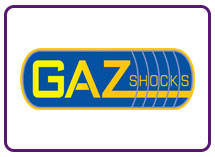 GAZ Shocks