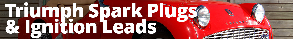 Triumph Plugs & Leads